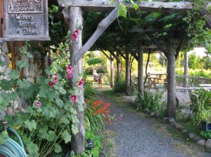 lopez-island-vineyards